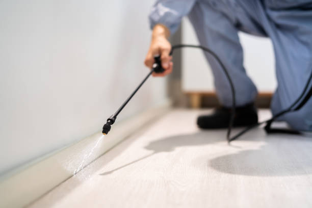 Licensed Pest Control service in Orchards, WA - Show Me Pest Control