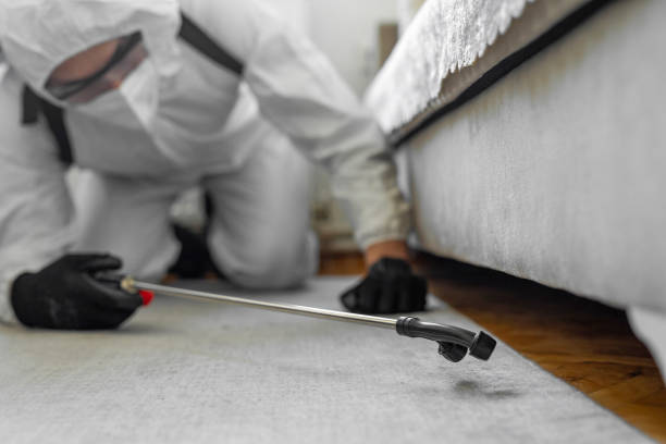 Professional Ant Control technician working in Orchards, WA